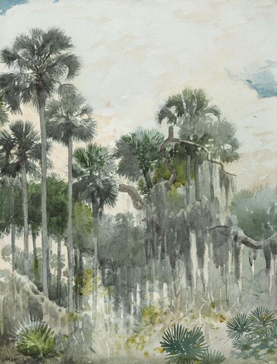 Jungle de Floride - Winslow Homer